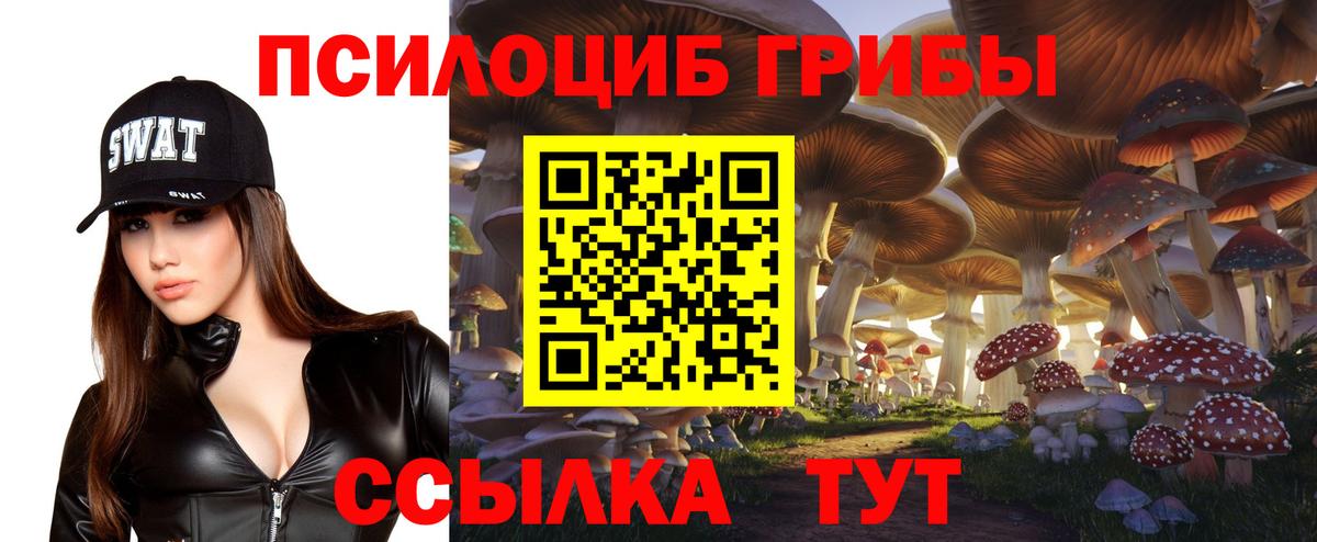 Волжск  Псилоцибиновые грибы прущие грибы  Вход с VPN 
