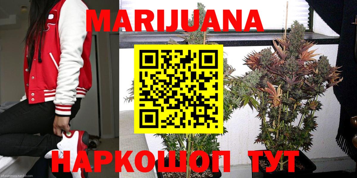Канабис семена  Каннабис OG Kush  Волжск  Вход с VPN  Марихуана AK-47  МАРИХУАНА Bruce Banner 